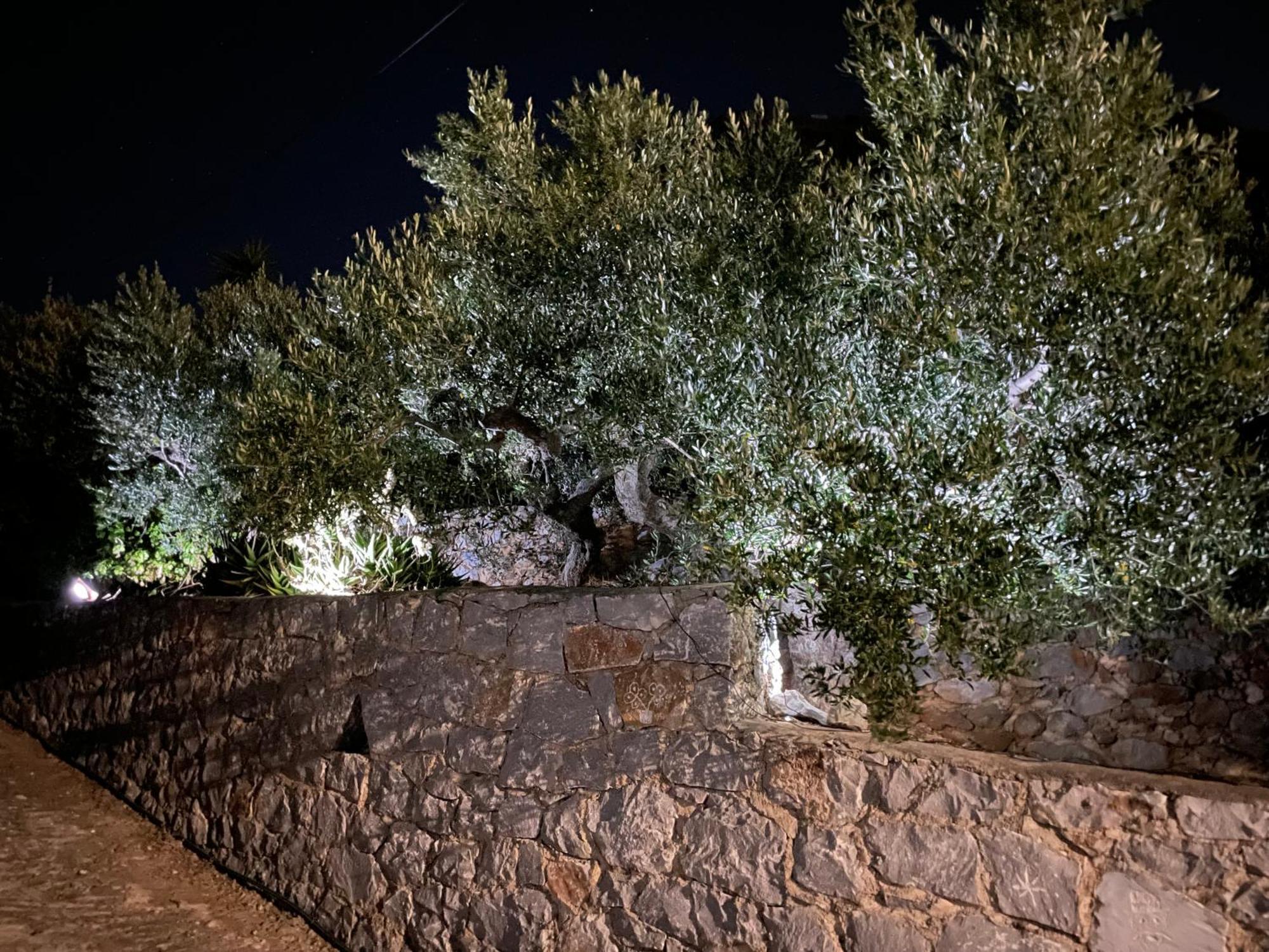 Πύργος Παραδοσιακός Με Μαγευτική Θέα - Villa Traditional Tower With Amazing Sea View Areopoli Esterno foto